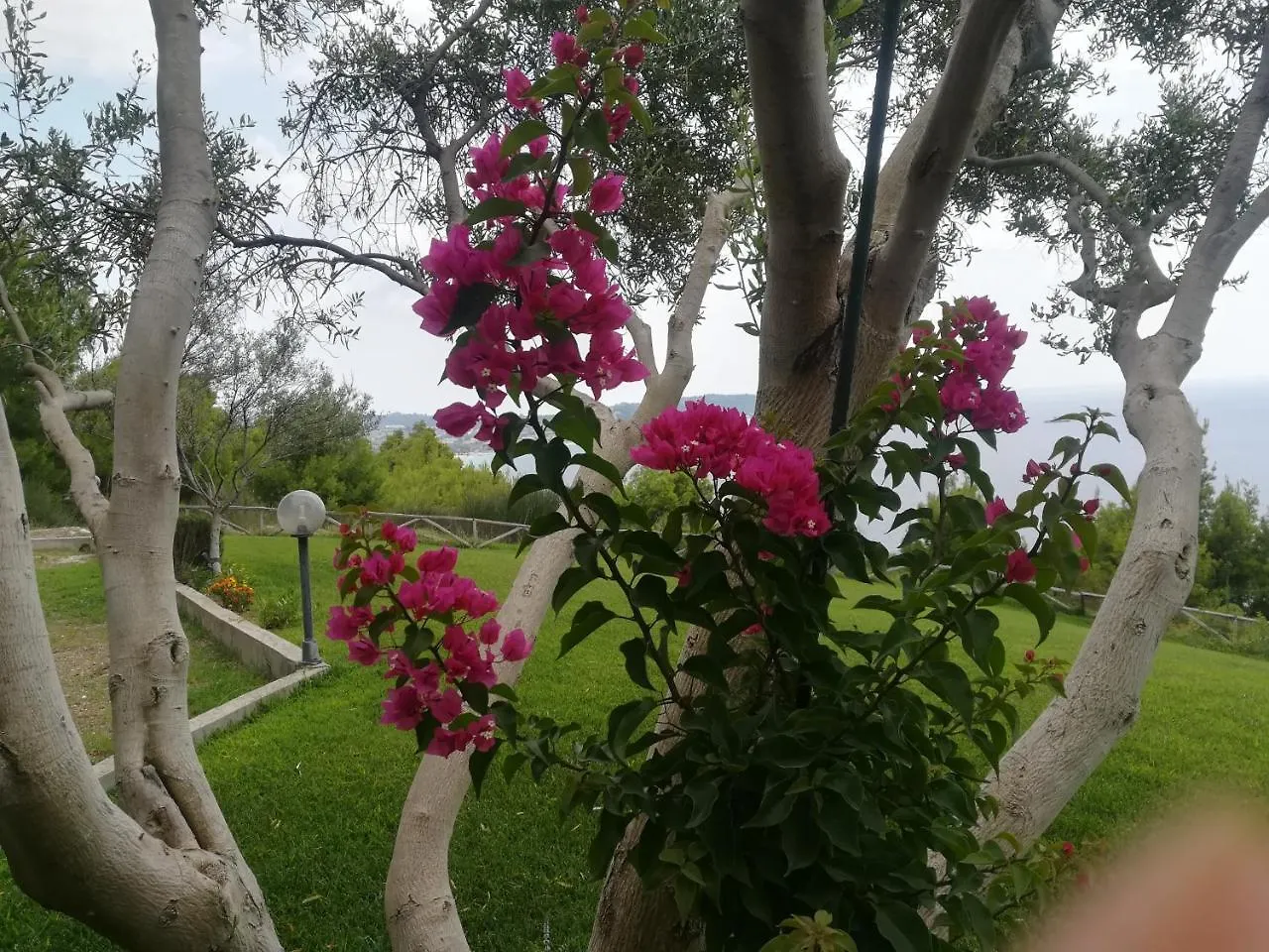 Aetofolia Stella Villas Fourka Holiday home